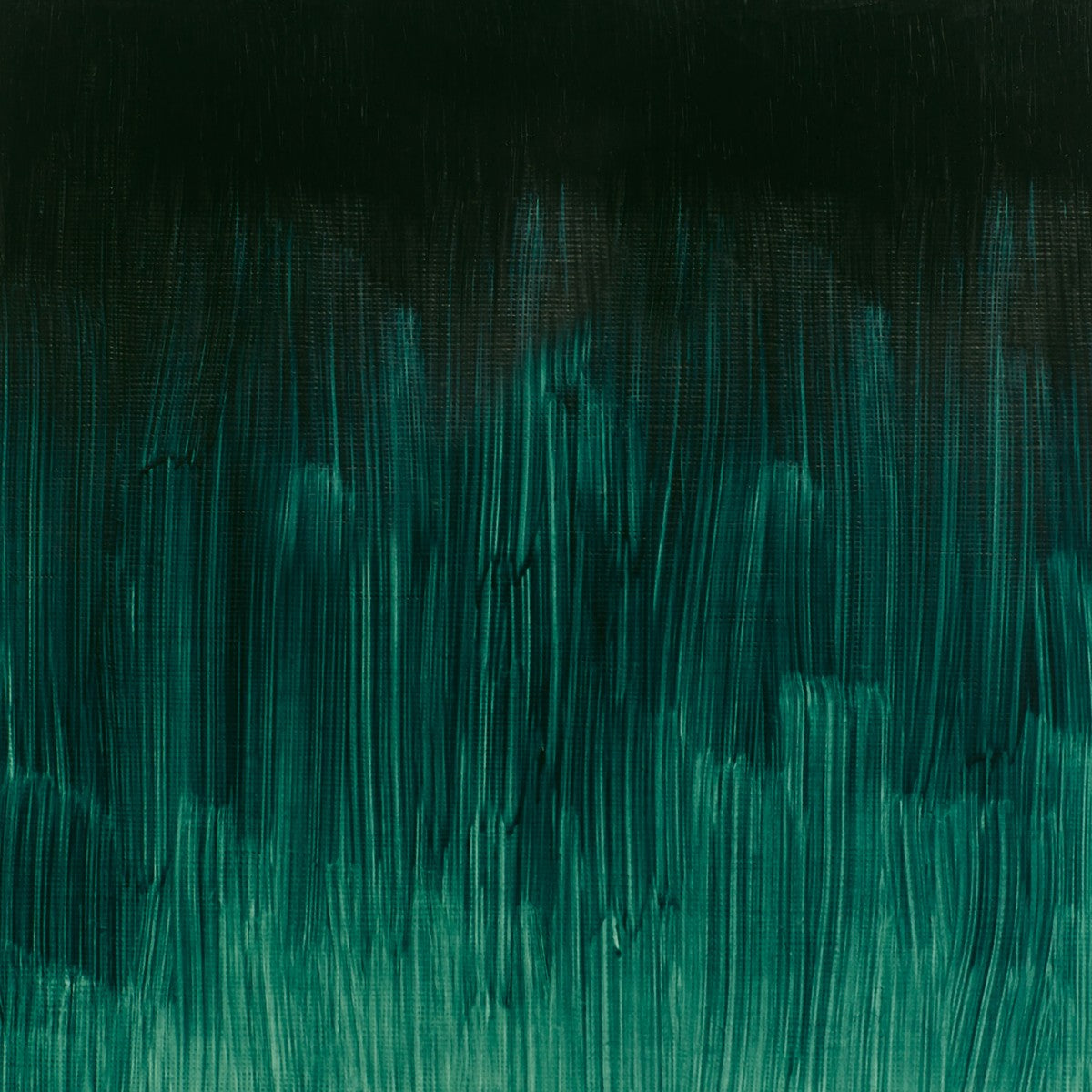 W&N Winton oil - 37 ml - phthalo deep green