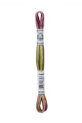 DMC Mouliné Coloris - 4509