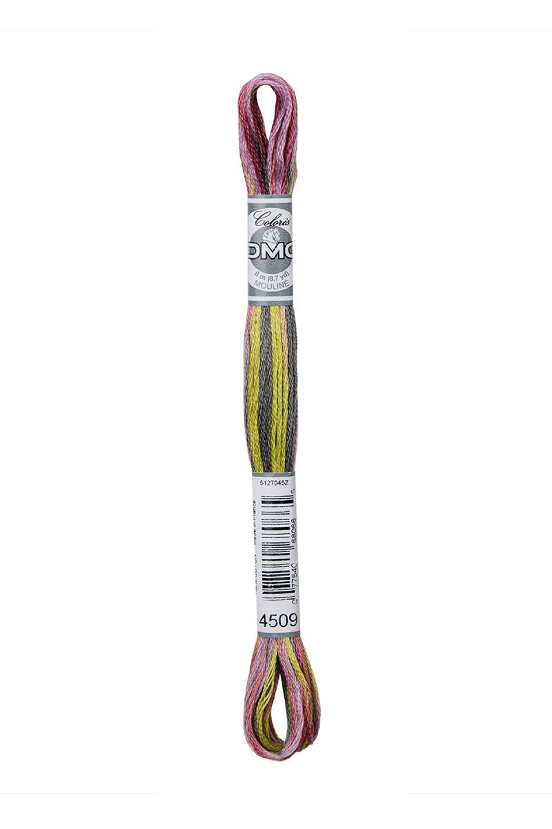 DMC Mouliné Coloris - 4509