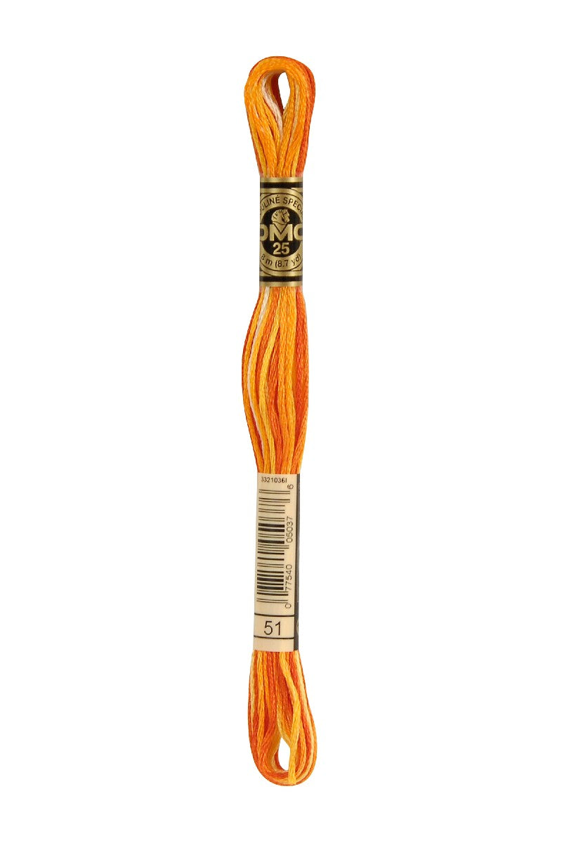 DMC Mouliné Spécial - 51
