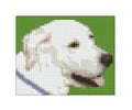 Pixelhobby pakket Hond Paco