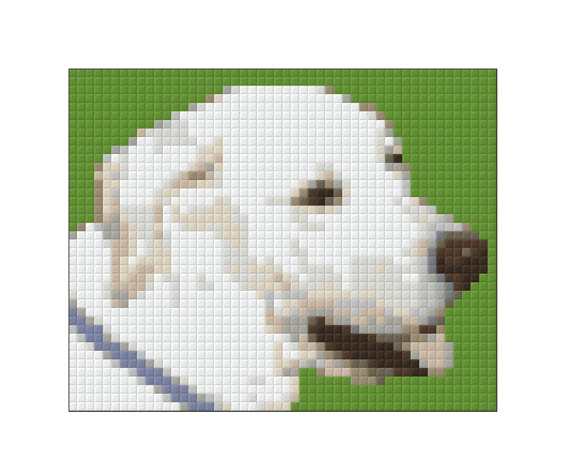 Pixelhobby pakket Hond Paco