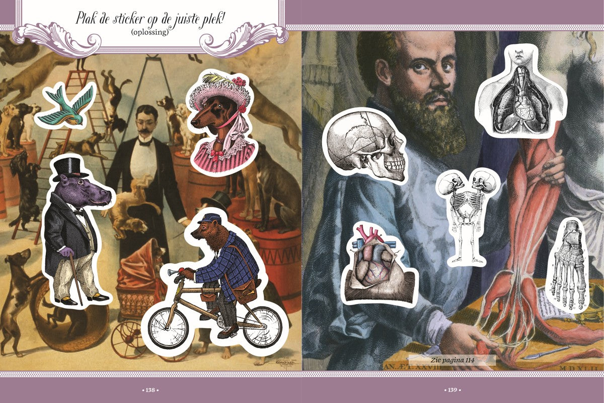 Boek - volwassenen doeboek - Rariteiten & curiosa