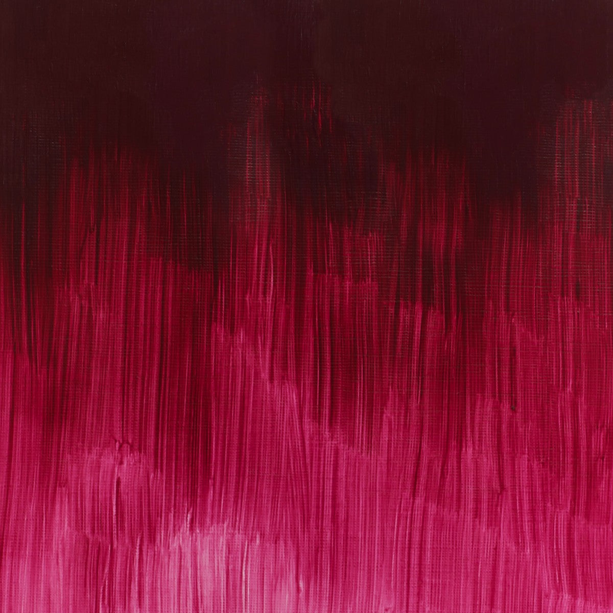 W&N Winton oil - 37 ml - quinacridone deep pink