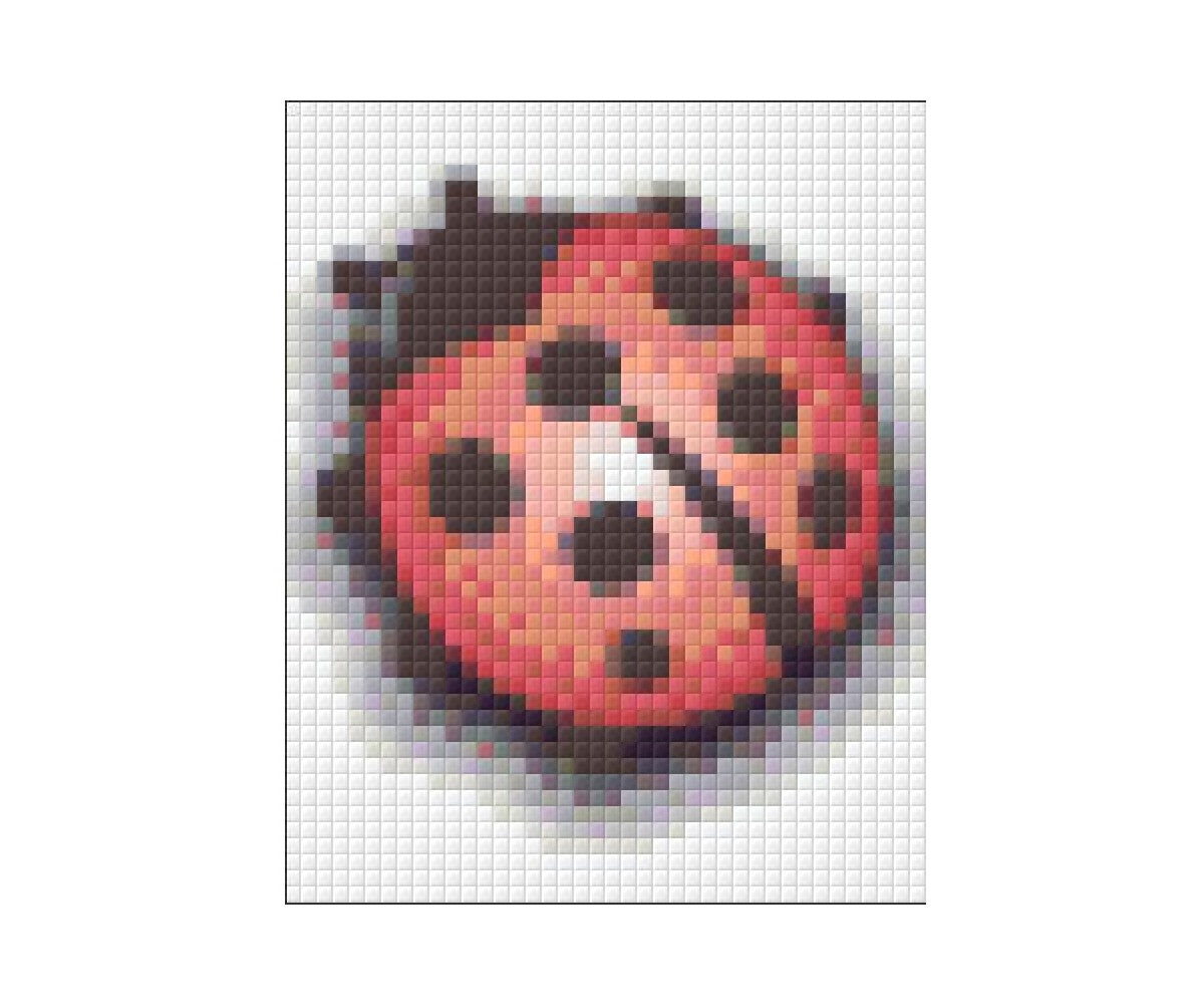 Pixelhobby pakket Lieveheersbeest