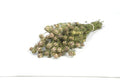 Droogbloemen - Nigella flower paars