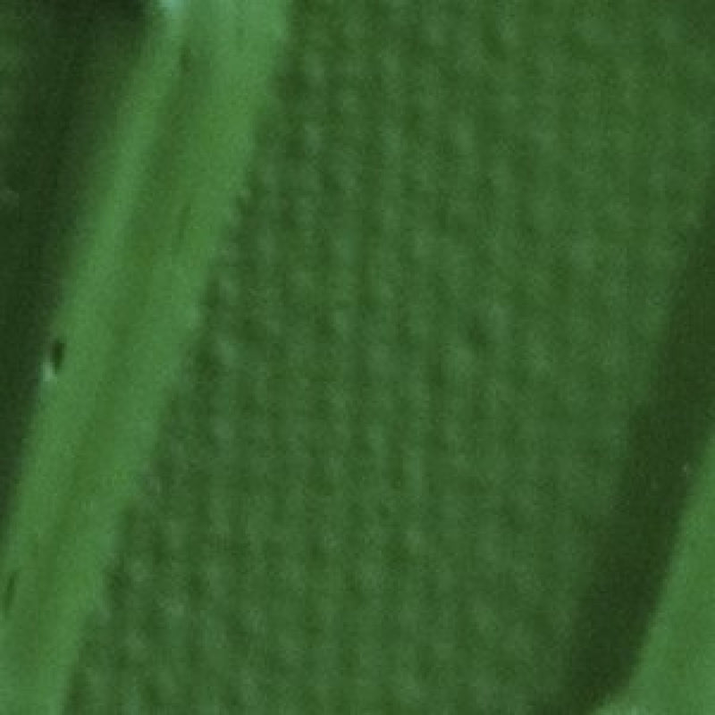 Pebeo Origin Acrylics - 120 ml - 23 Permanent Light Green