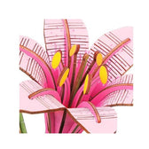 Robotime Houten 3D puzzel - Pink Lily