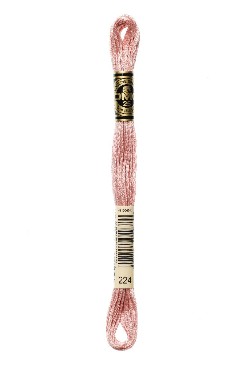 DMC Mouliné Spécial - 224