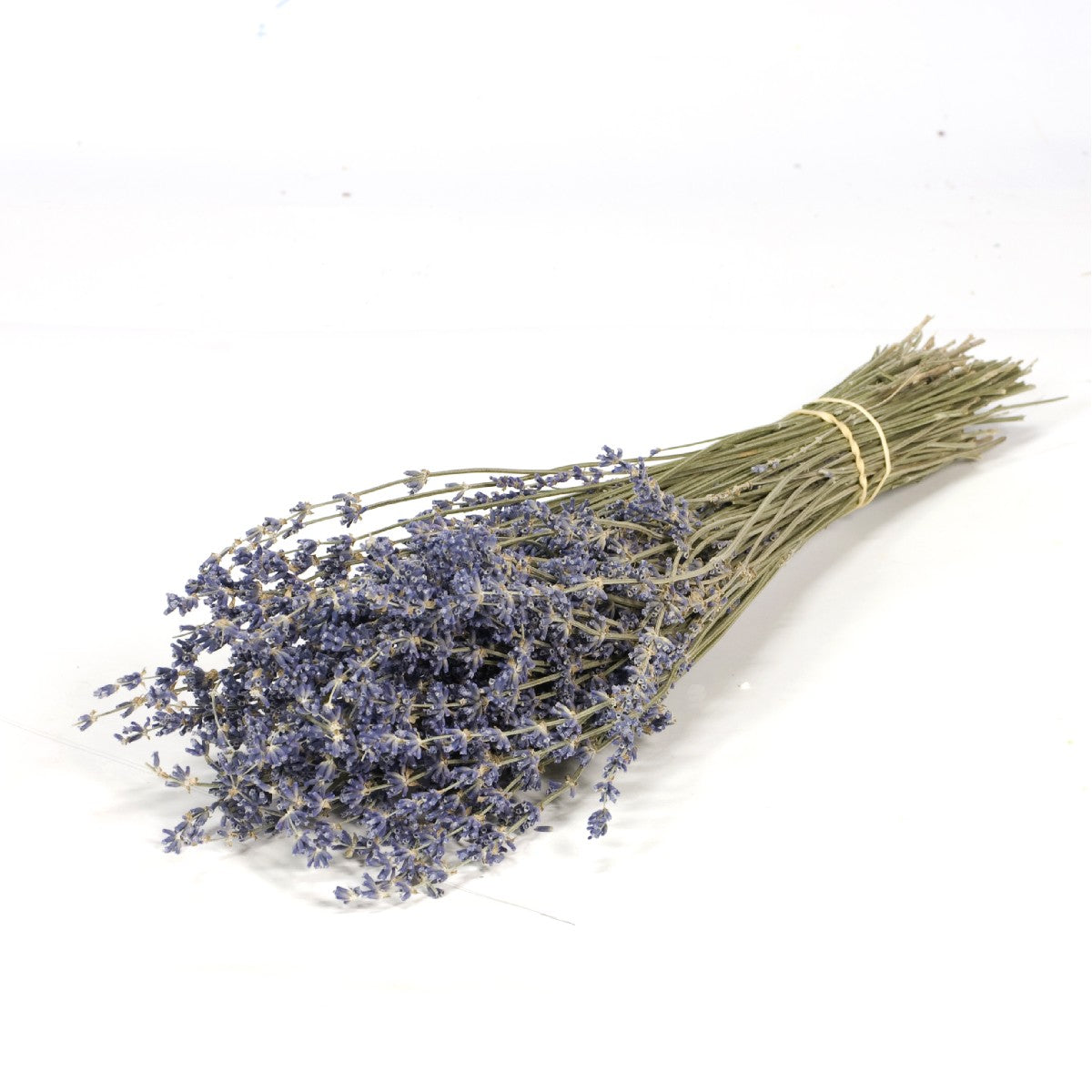 Droogbloemen - Lavender paars
