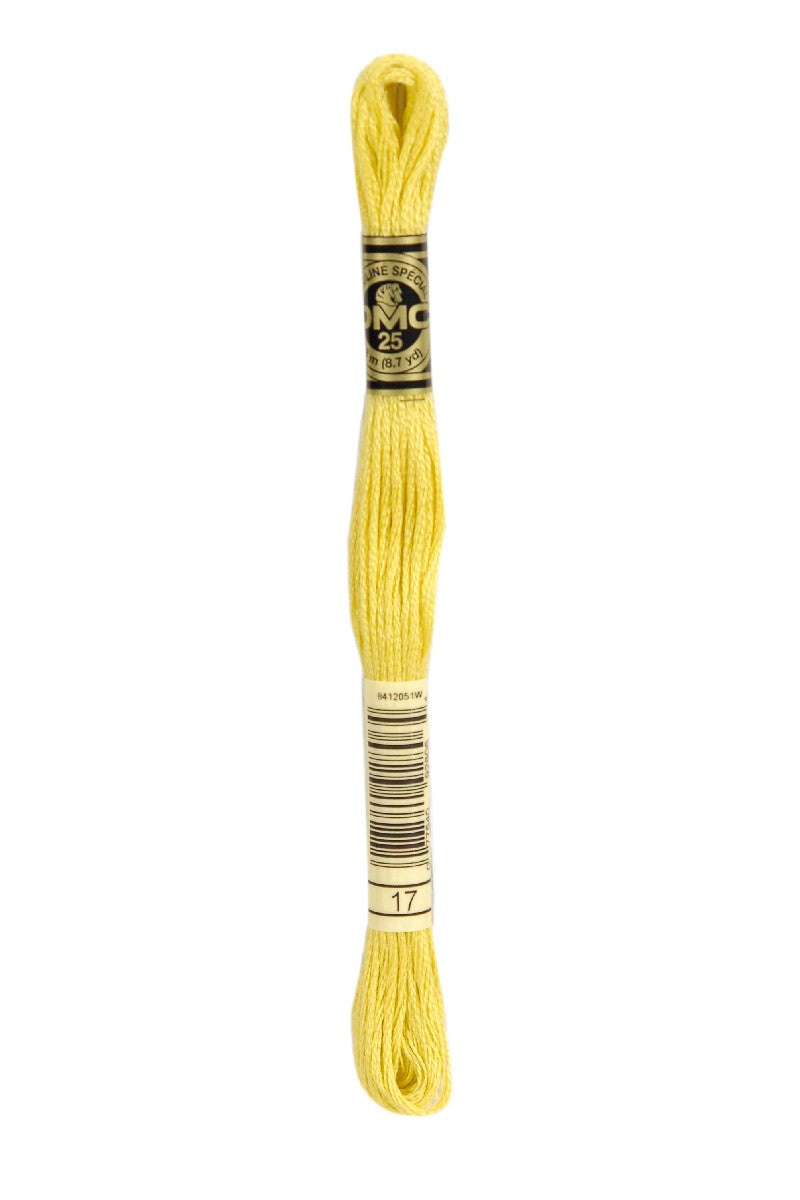 DMC Mouliné Spécial - 17