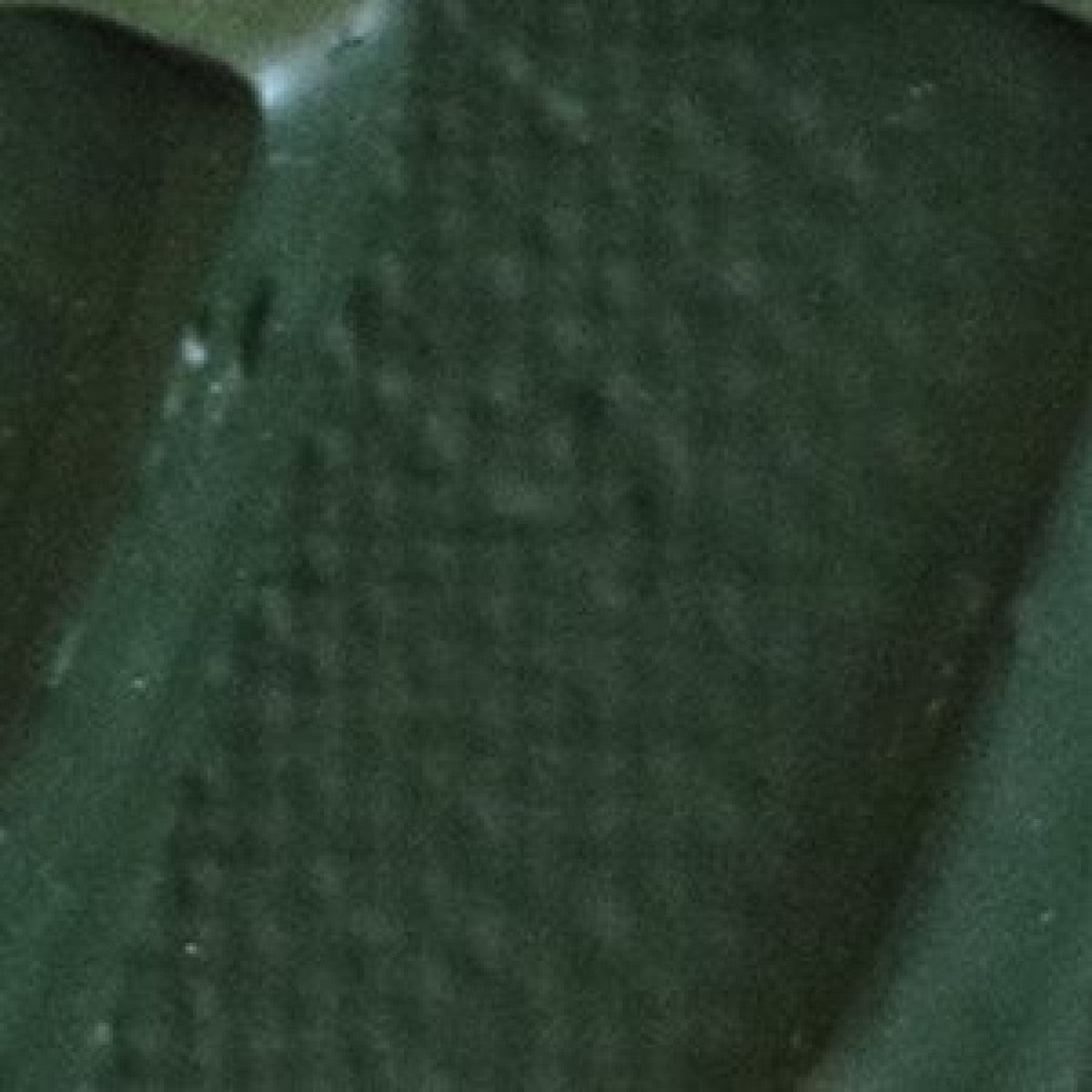 Pebeo Origin Acrylics - 120 ml - 24 Hooker's Green