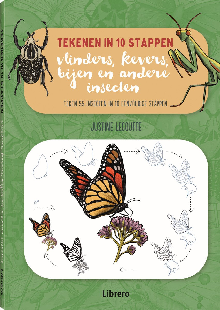 Boek - Tekenen in 10 Stappen - Vlinders, kevers, bijen en andere insecten