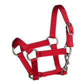 Hobby Horse - halster - rood