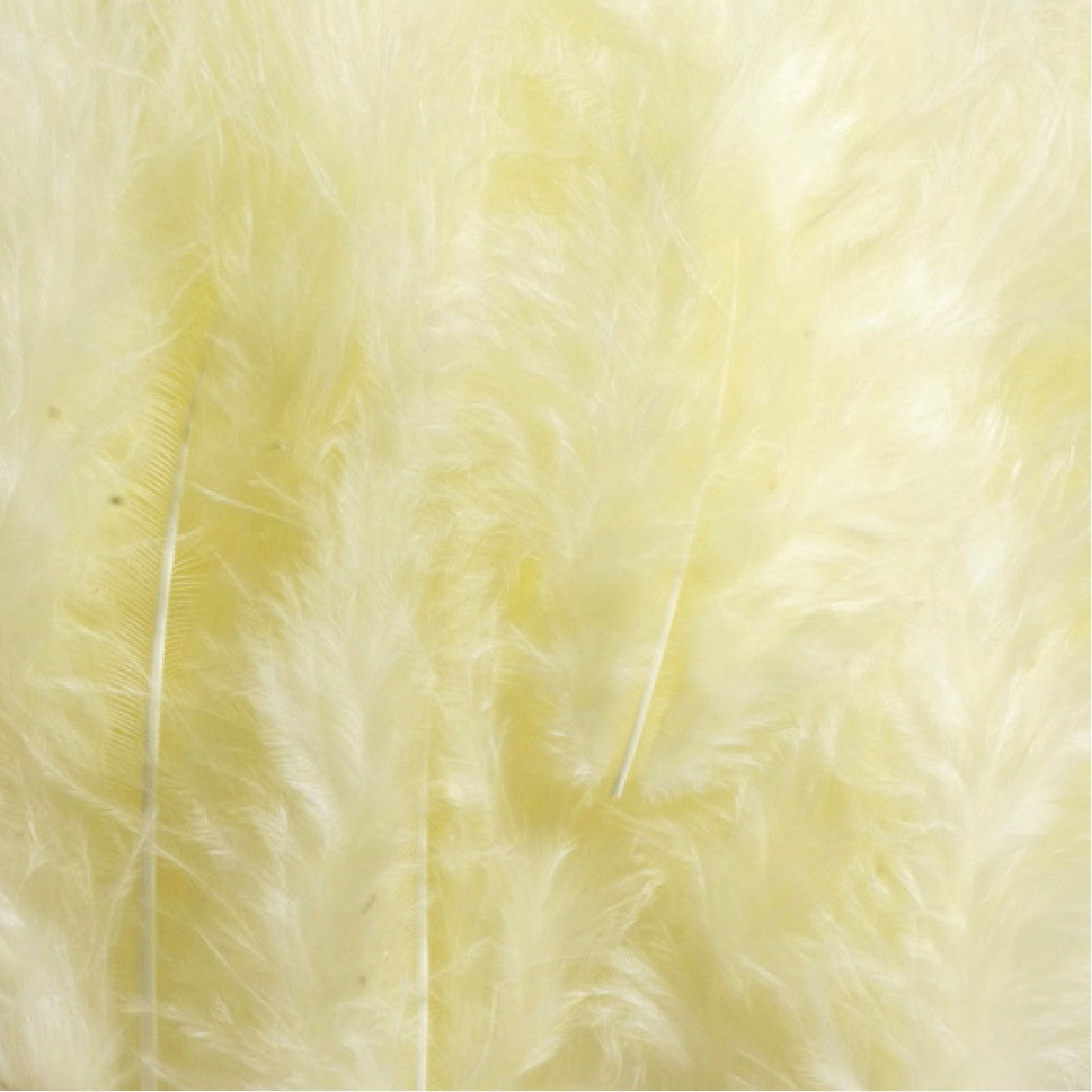 donzen veren  5-9 cm - pastelgeel 12 stuks