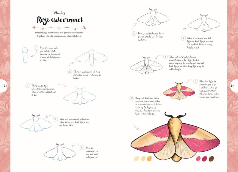 Boek - Tekenen in 10 Stappen - Vlinders, kevers, bijen en andere insecten