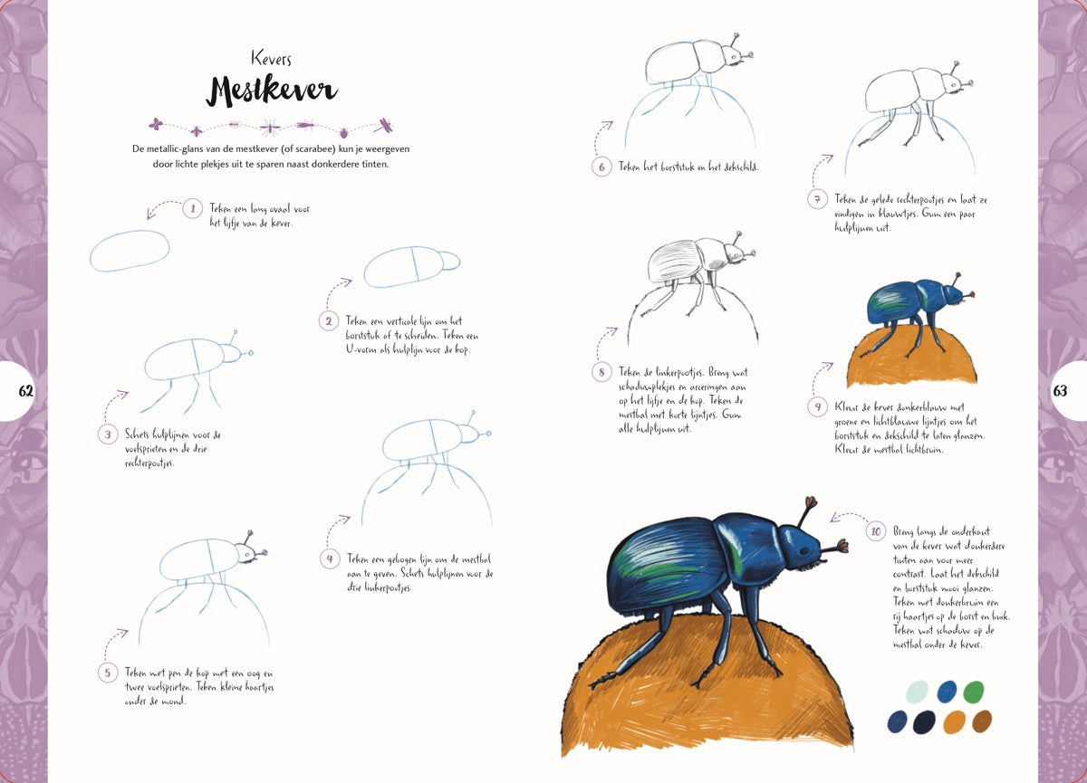 Boek - Tekenen in 10 Stappen - Vlinders, kevers, bijen en andere insecten