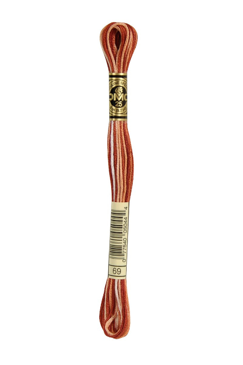 DMC Mouliné Spécial - 69