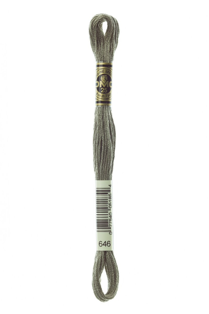 DMC Mouliné Spécial - 646