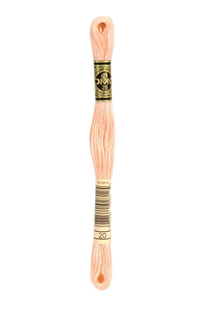 DMC Mouliné Spécial - 20