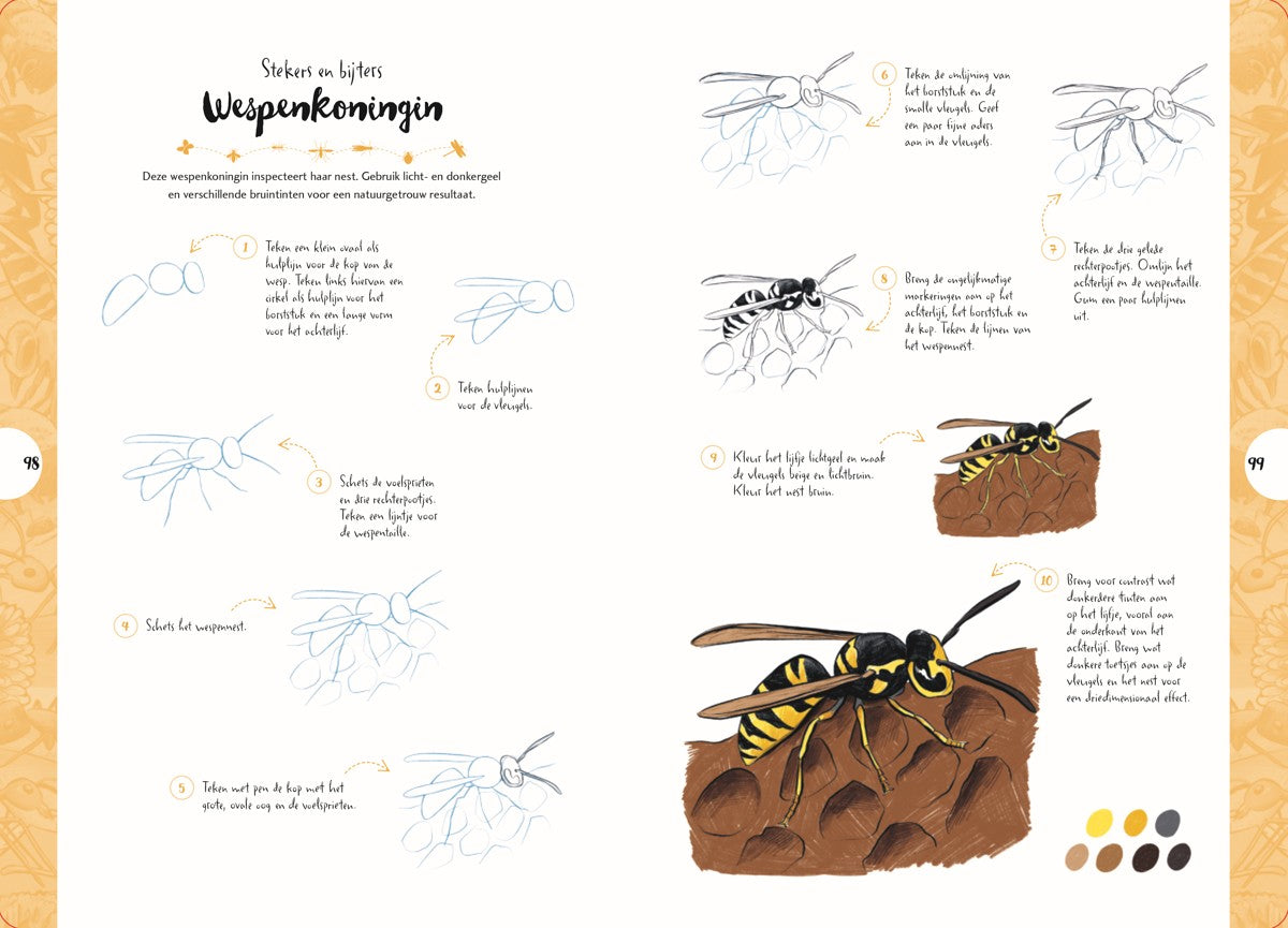 Boek - Tekenen in 10 Stappen - Vlinders, kevers, bijen en andere insecten