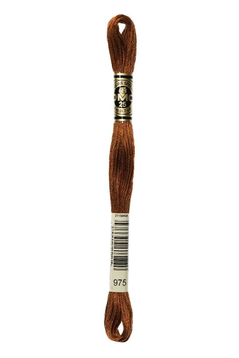 DMC Mouliné Spécial - 975