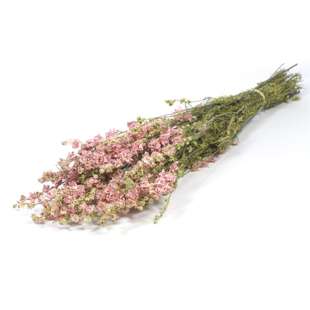 Droogbloemen - Delphinium roze
