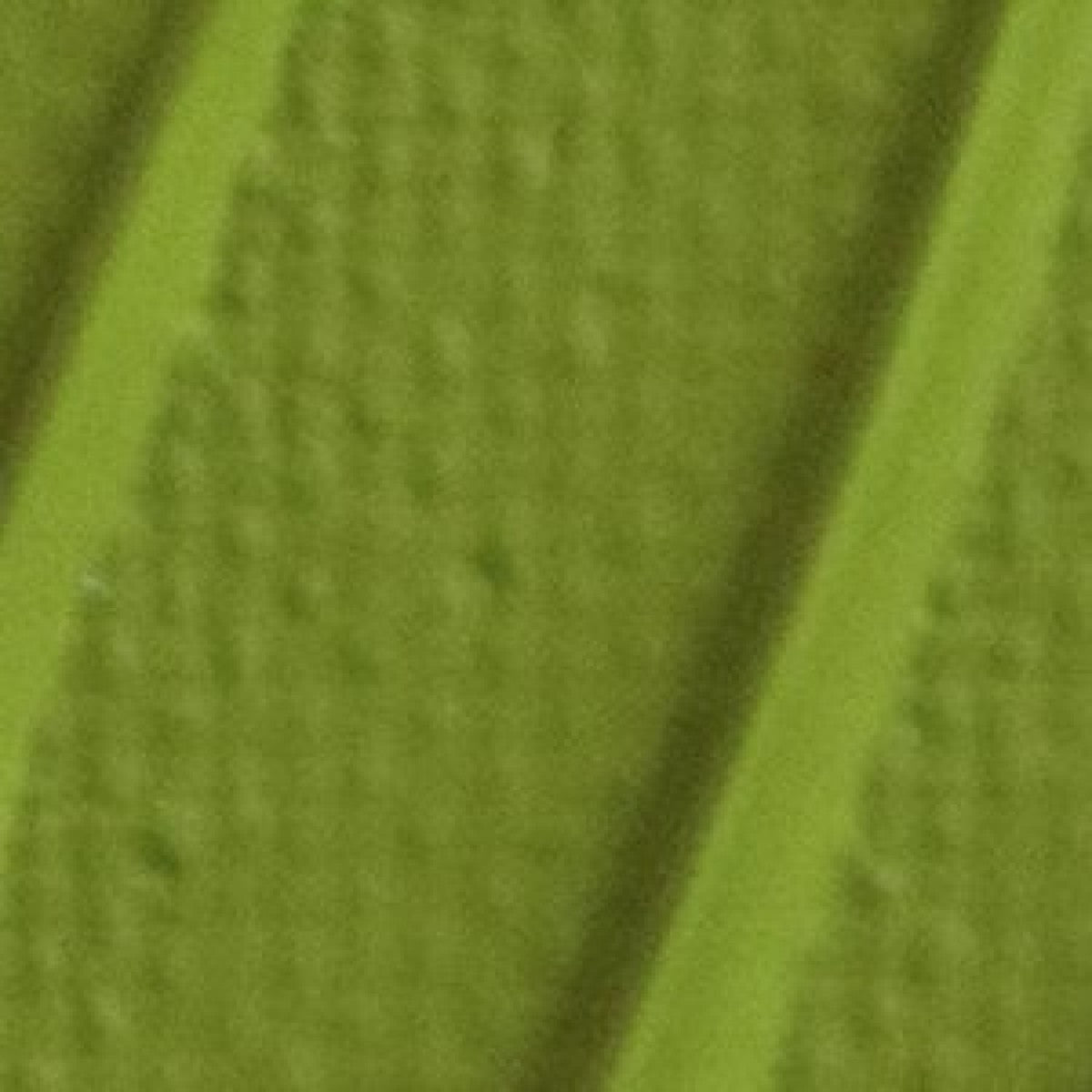 Pebeo Origin Acrylics - 120 ml - 26 Olive Light Green