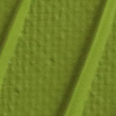 Pebeo Origin Acrylics - 120 ml - 26 Olive Light Green