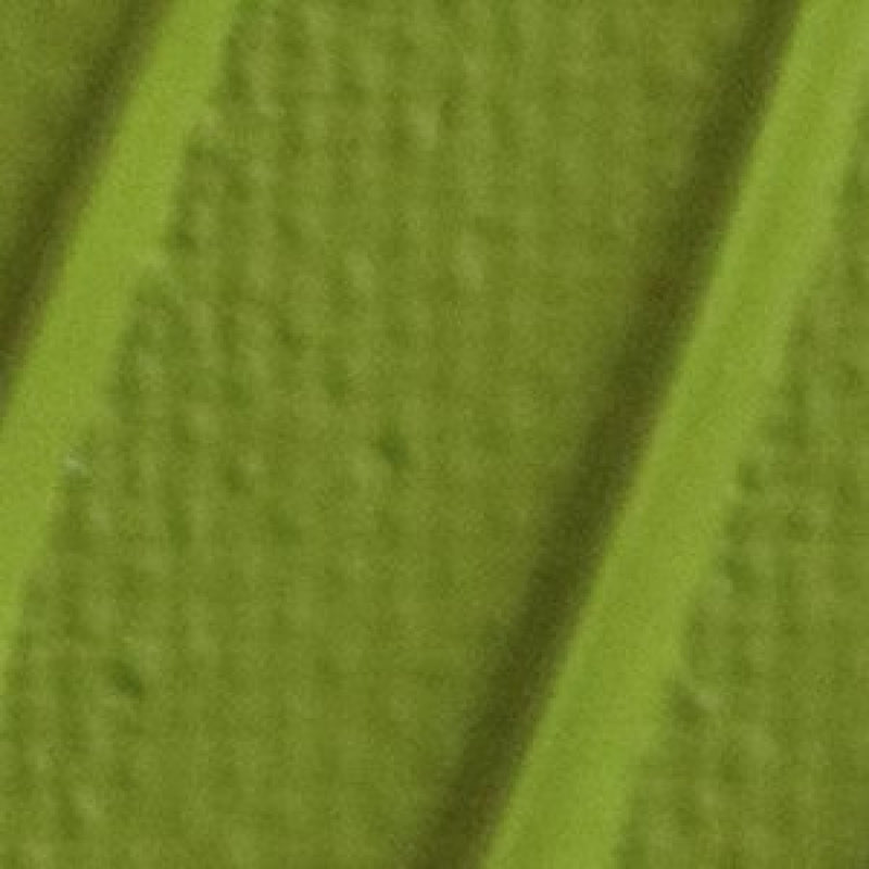 Pebeo Origin Acrylics - 120 ml - 26 Olive Light Green