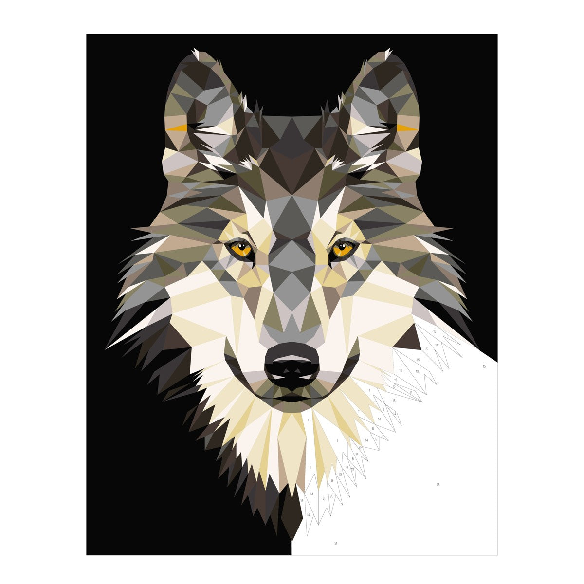 Schilderen op nummer - wolf