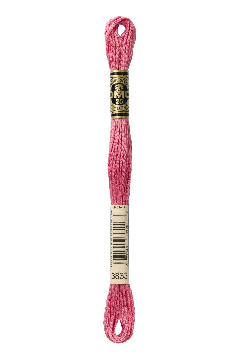 DMC Mouliné Spécial - 3833