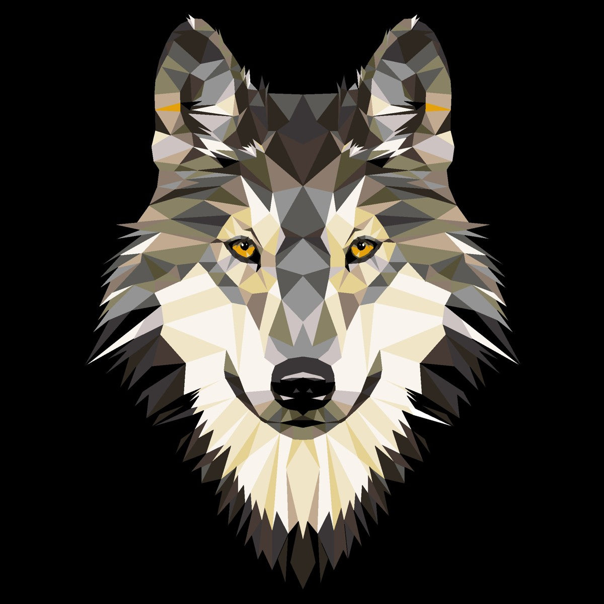 Schilderen op nummer - wolf
