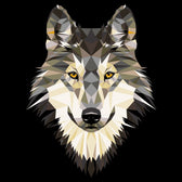 Schilderen op nummer - wolf