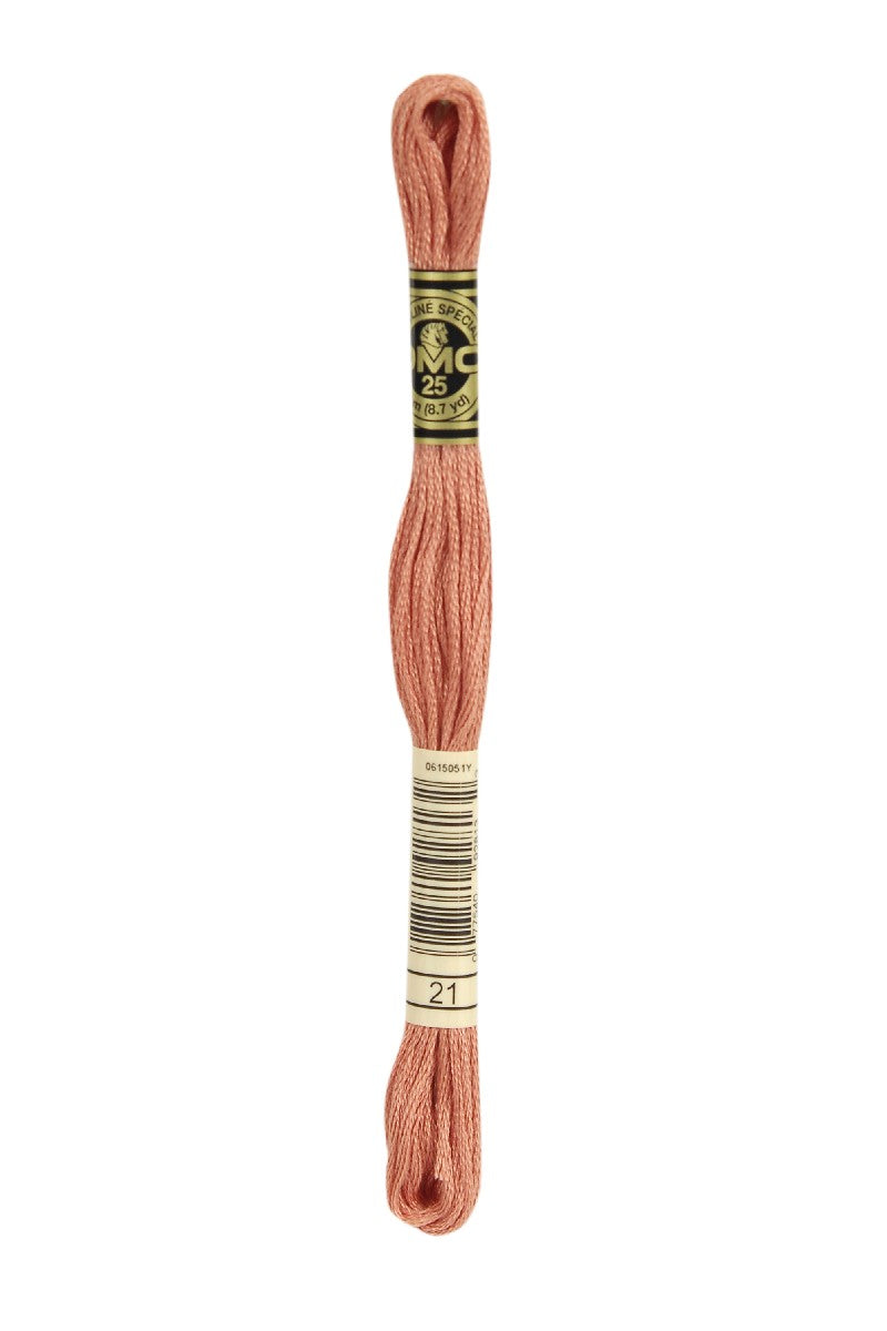 DMC Mouliné Spécial - 21