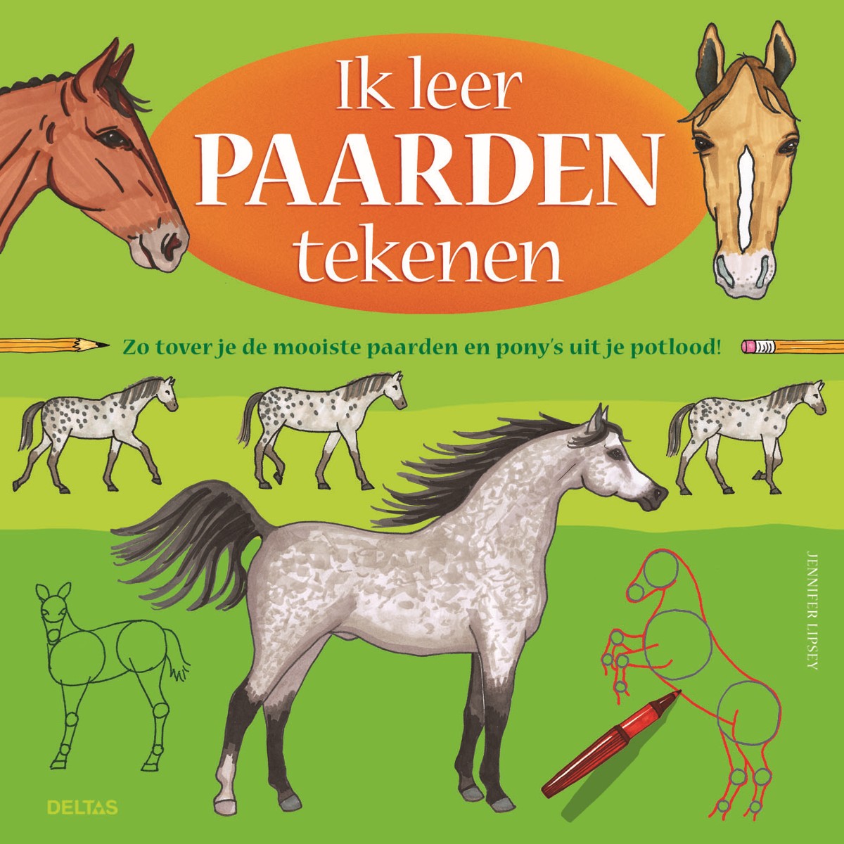 Boek Ik leer paarden tekenen