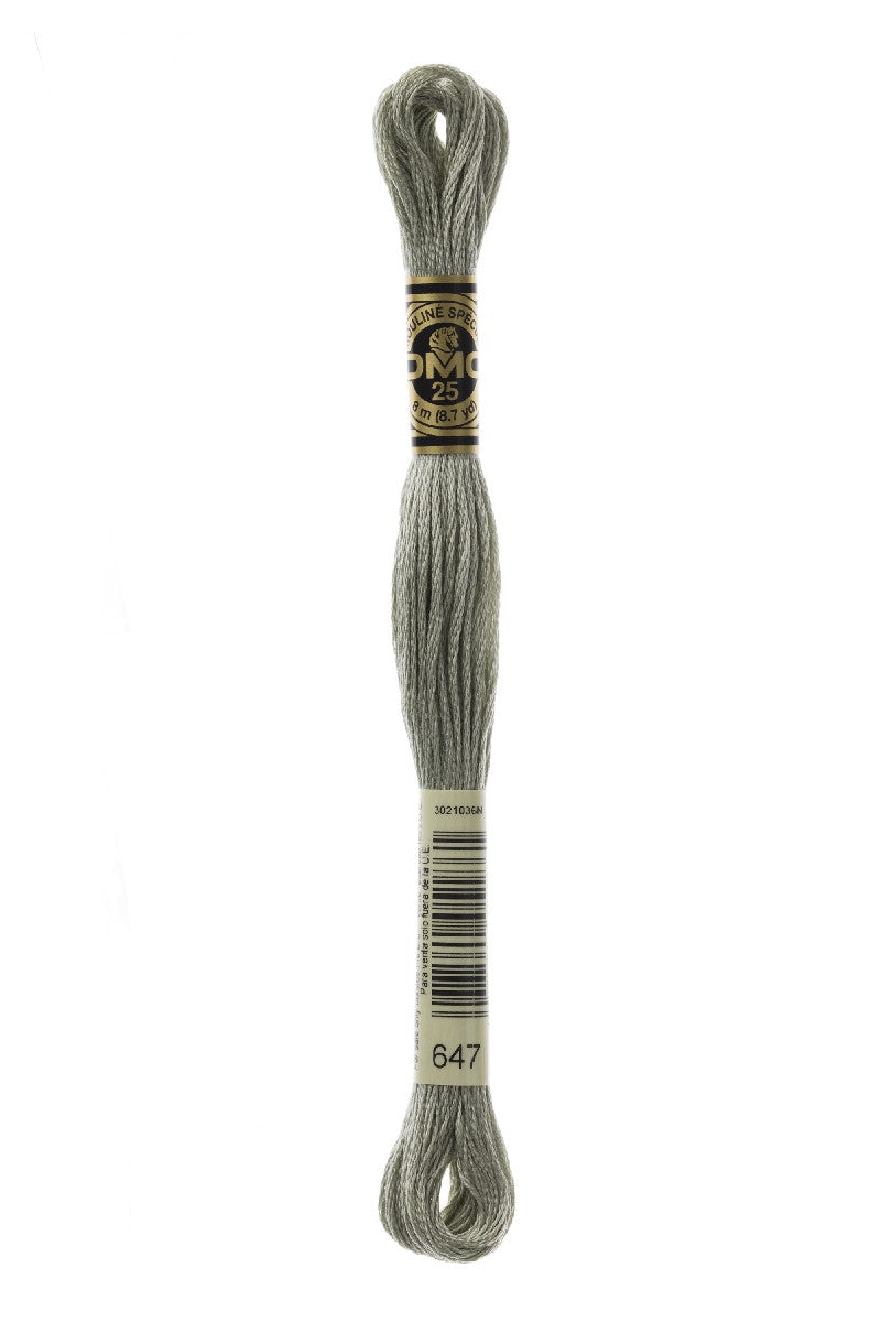 DMC Mouliné Spécial - 647