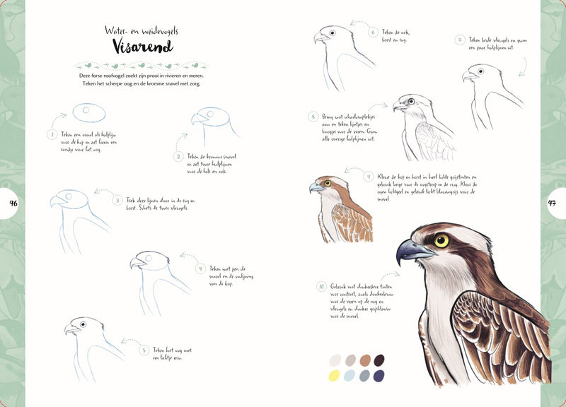 Boek - Tekenen in 10 Stappen - Vogels