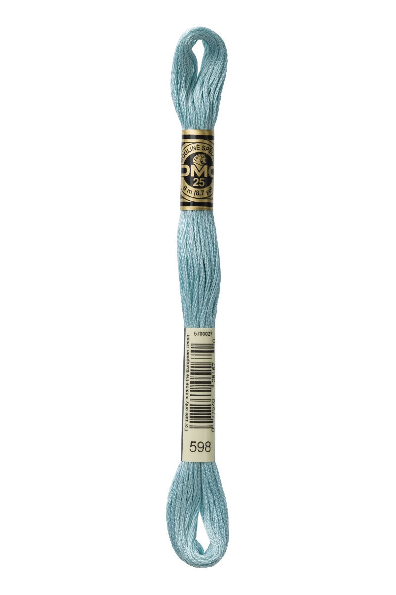 DMC Mouliné Spécial - 598
