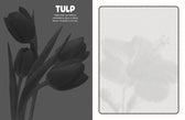 Kleurboek - Mystical Dots Bloemen