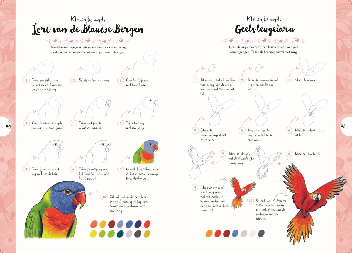 Boek - Tekenen in 10 Stappen - Vogels