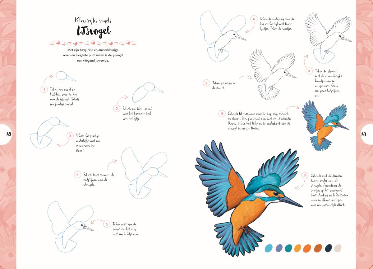 Boek - Tekenen in 10 Stappen - Vogels
