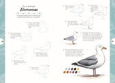 Boek - Tekenen in 10 Stappen - Vogels
