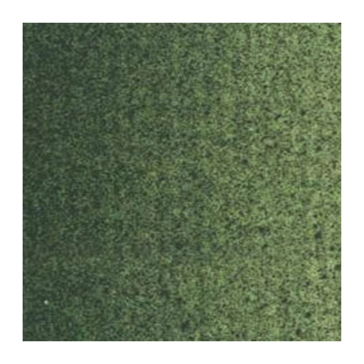 van Gogh olieverf - 40 ml - groene aarde 629