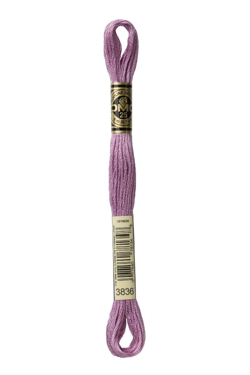 DMC Mouliné Spécial - 3836