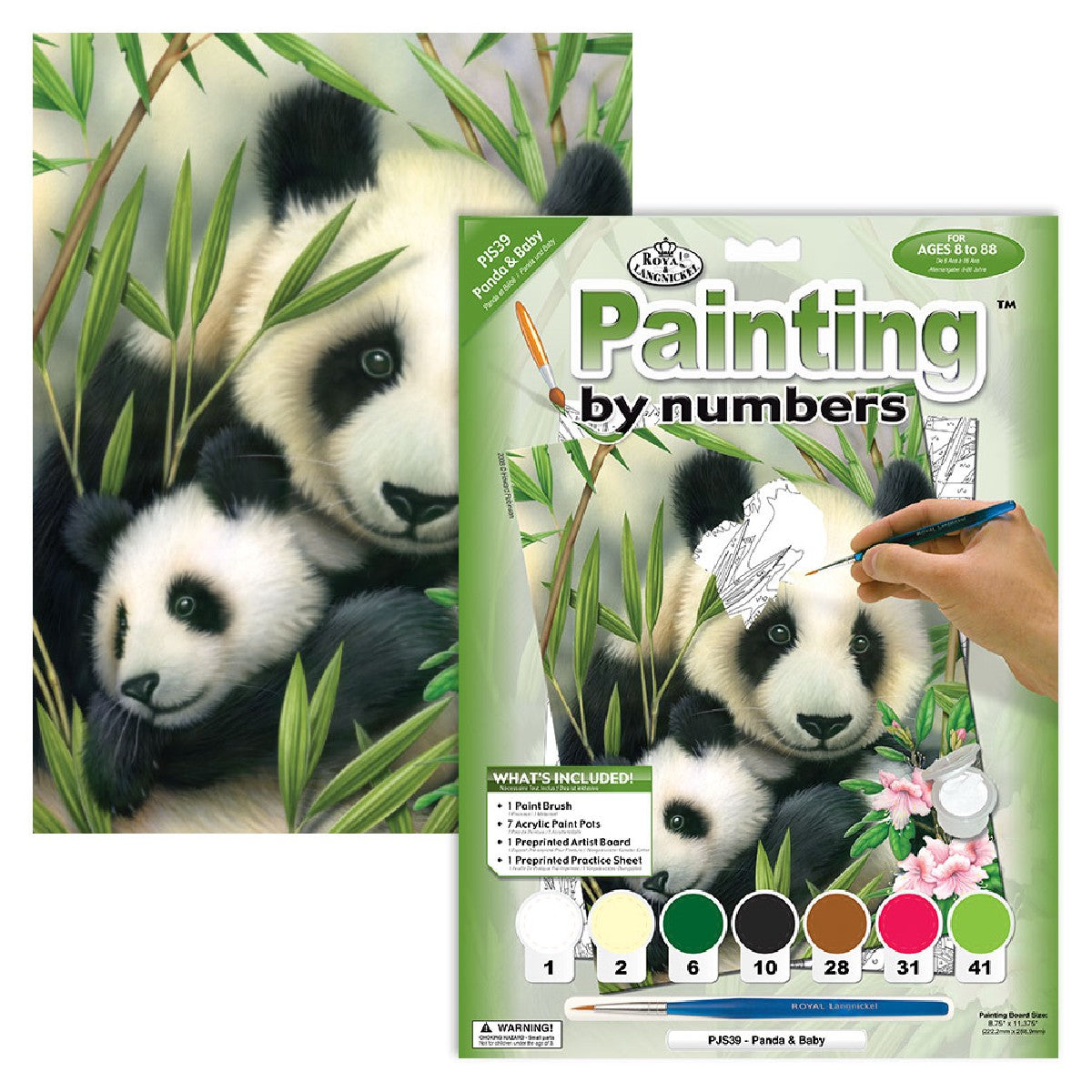 Schilderen op nummer - panda's