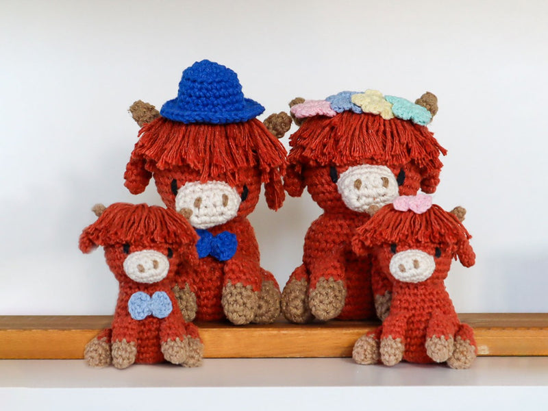 Hoooked DIY kit - Aidan family