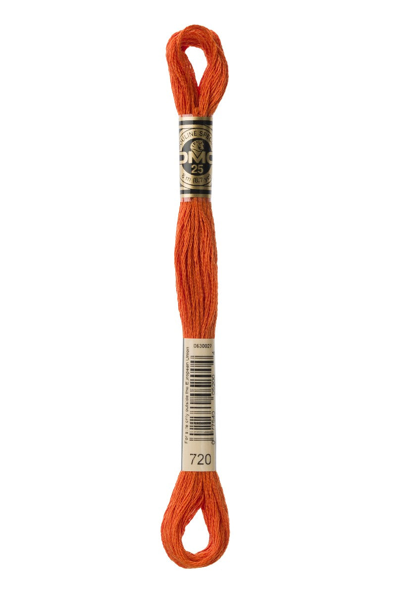 DMC Mouliné Spécial - 720