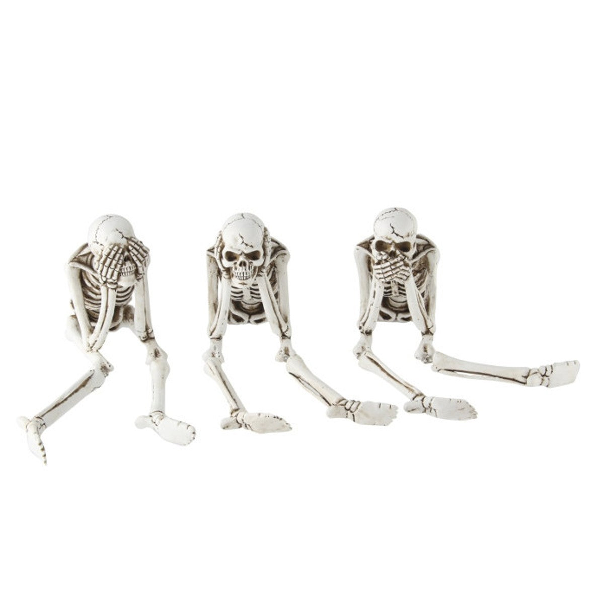 Skelet 21 cm