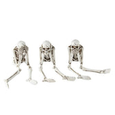 Skelet 21 cm